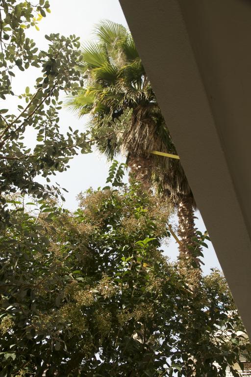 Casa Mimi B&B Πεσκάρα Εξωτερικό φωτογραφία